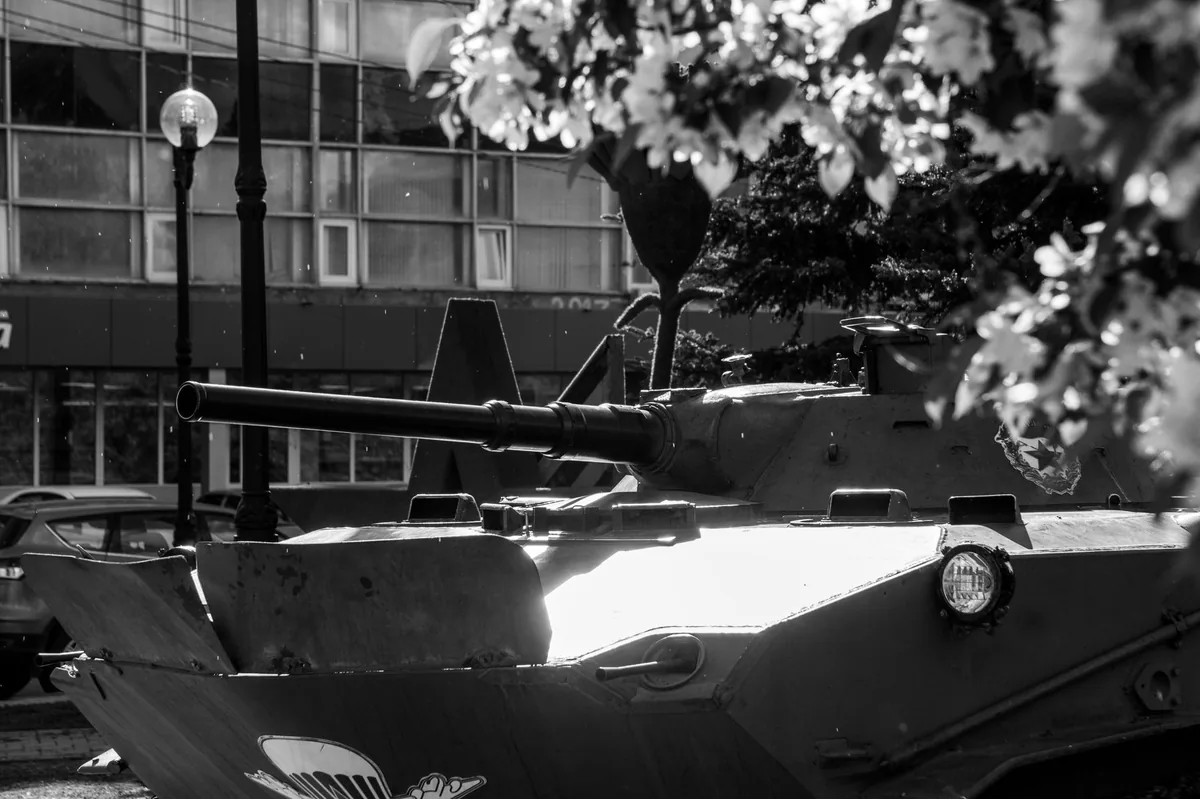DEFENSA Y ESTRATEGIA | Despliegue militar en Rosario: los detalles de los ejercicios Biguá y Arandu