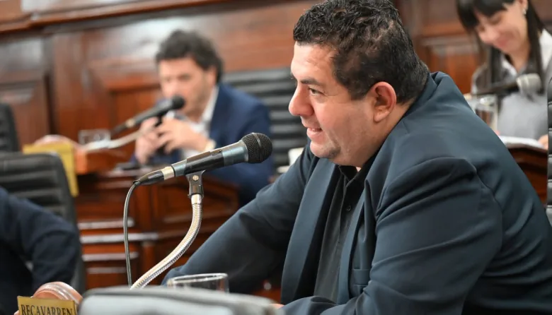 CONCEJO DELIBERANTE LOCAL | Impulsan un registro en La Plata para asistir a hogares monoparentales