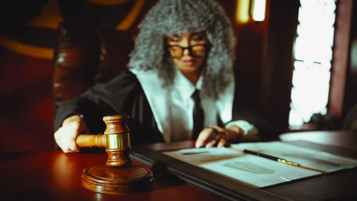 INVESTIGACIÓN JUDICIAL | Habló la falsa psicóloga de La Plata: "No es ilegal, solo es nuevo"