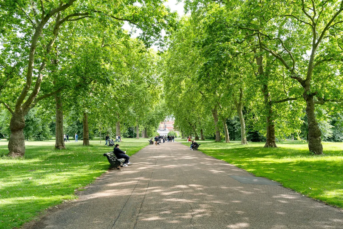 RENOVACIÓN URBANA | Comenzó la puesta en valor del Paseo del Bosque con polémica y rechazo vecinal